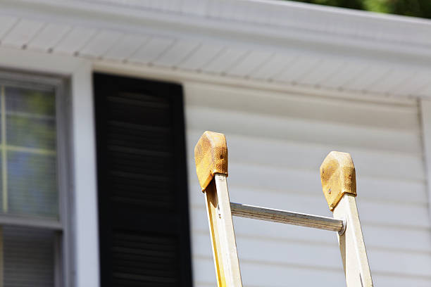 Best Siding Painting and Refinishing  in Davison, MI